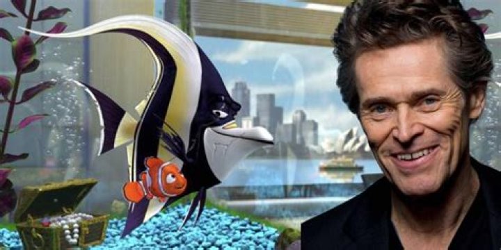 Who is Bruce in Finding Nemo? – Celebrity