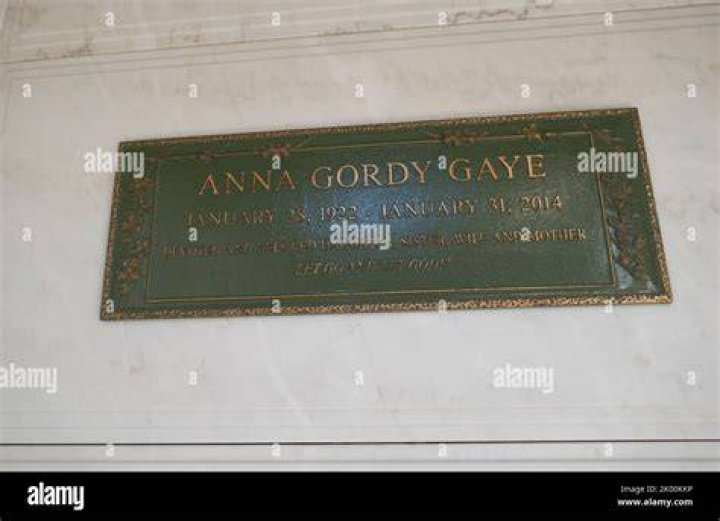 Who is Marvin Gaye wife Anna Gordy Gaye?