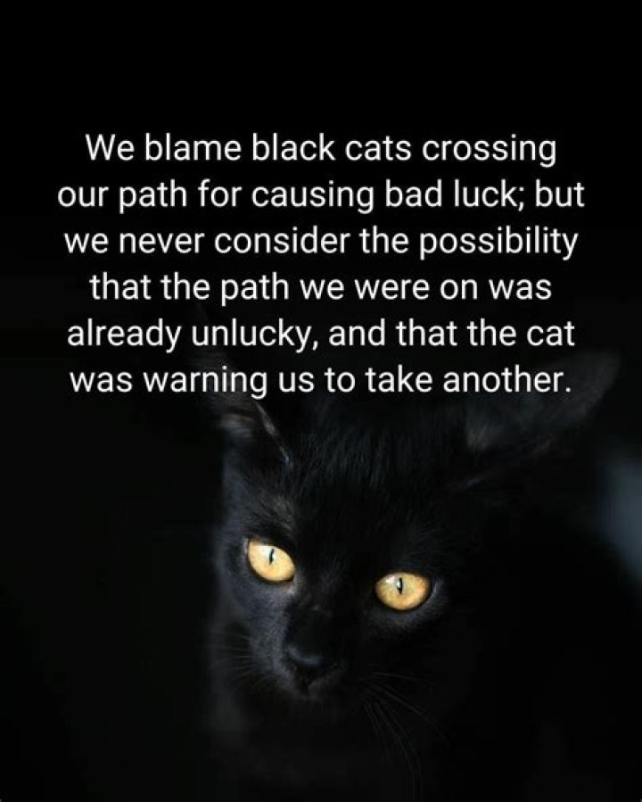 Why is it bad luck for a black cat to cross your path?