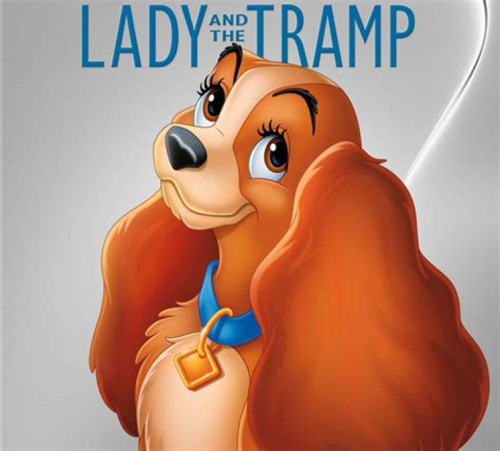 Why is Jock a girl in New Lady and the Tramp? – Celebrity